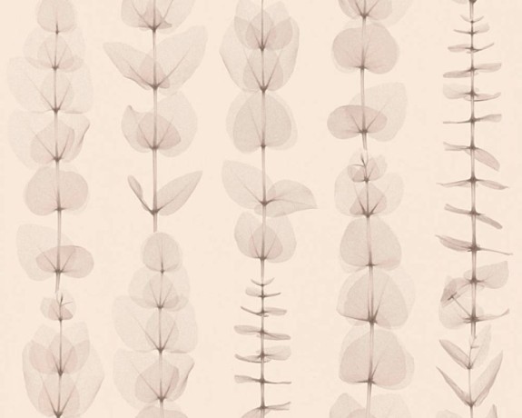 Обои AS Creation X-Ray 34246-1