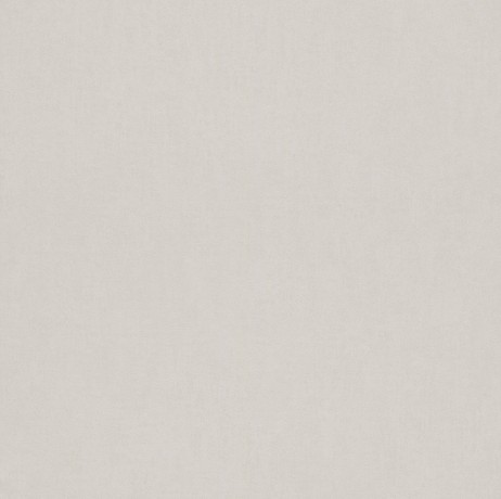 Обои Rasch Kids&Teens III 247411