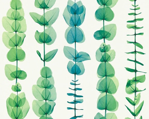 Обои AS Creation X-Ray 34246-4