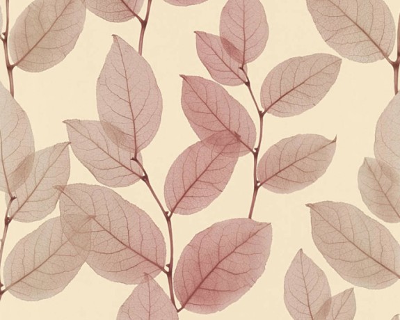 Обои AS Creation X-Ray 34247-3