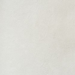 Обои Alessandro Allori Bodega RTE 2404-3